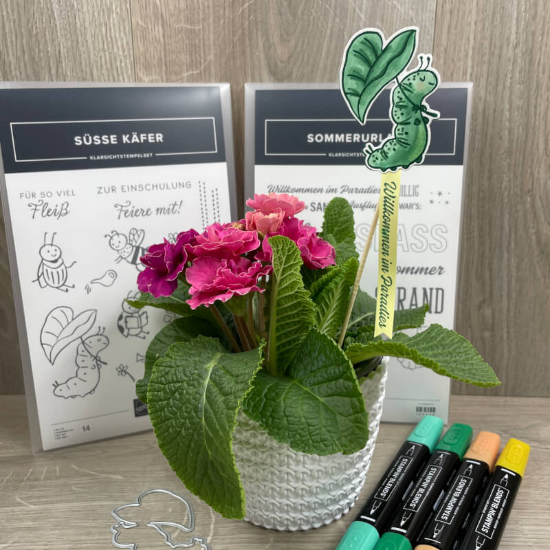 suesse kaefer stampin up Produktpaket mystampart blumenstecker