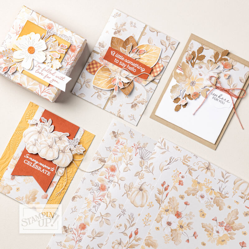 Produkt des Monats Herbstliebe: Karten und beklebte Schachtel in Rostorange und Gold, Papier mit weißem Kürbis
