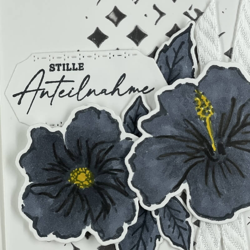 Nahaufnahme der tiefblauen Blüten mit gelben Staubgefäßen und dem Etikett