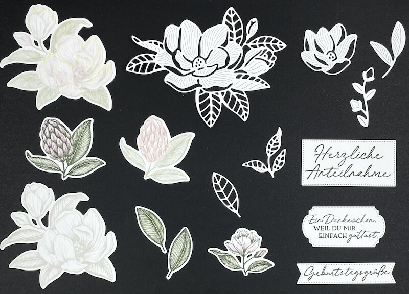 Ausgestanzte und kolorierte Magnolien, Knospen, Blätter und drei Sprüche auf Schwarz