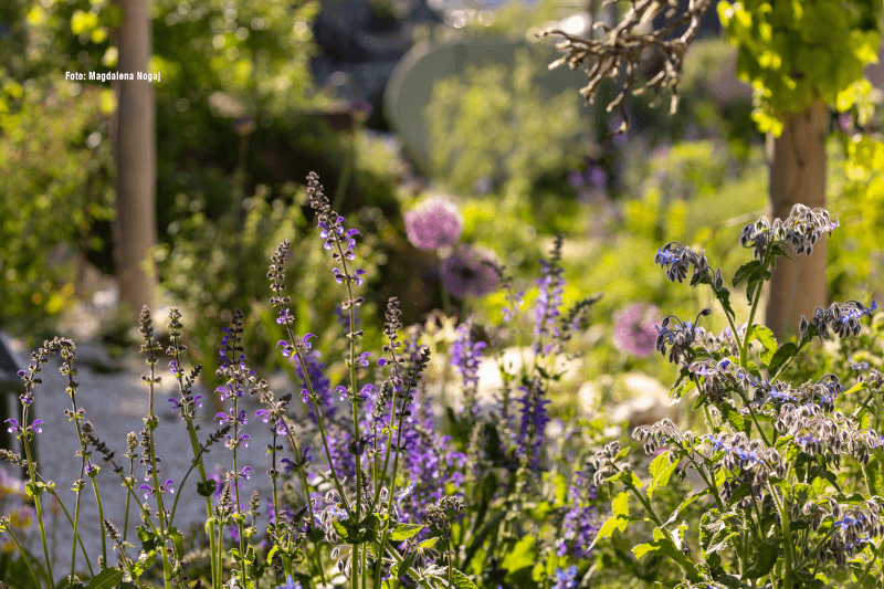 Naturnaher Garten