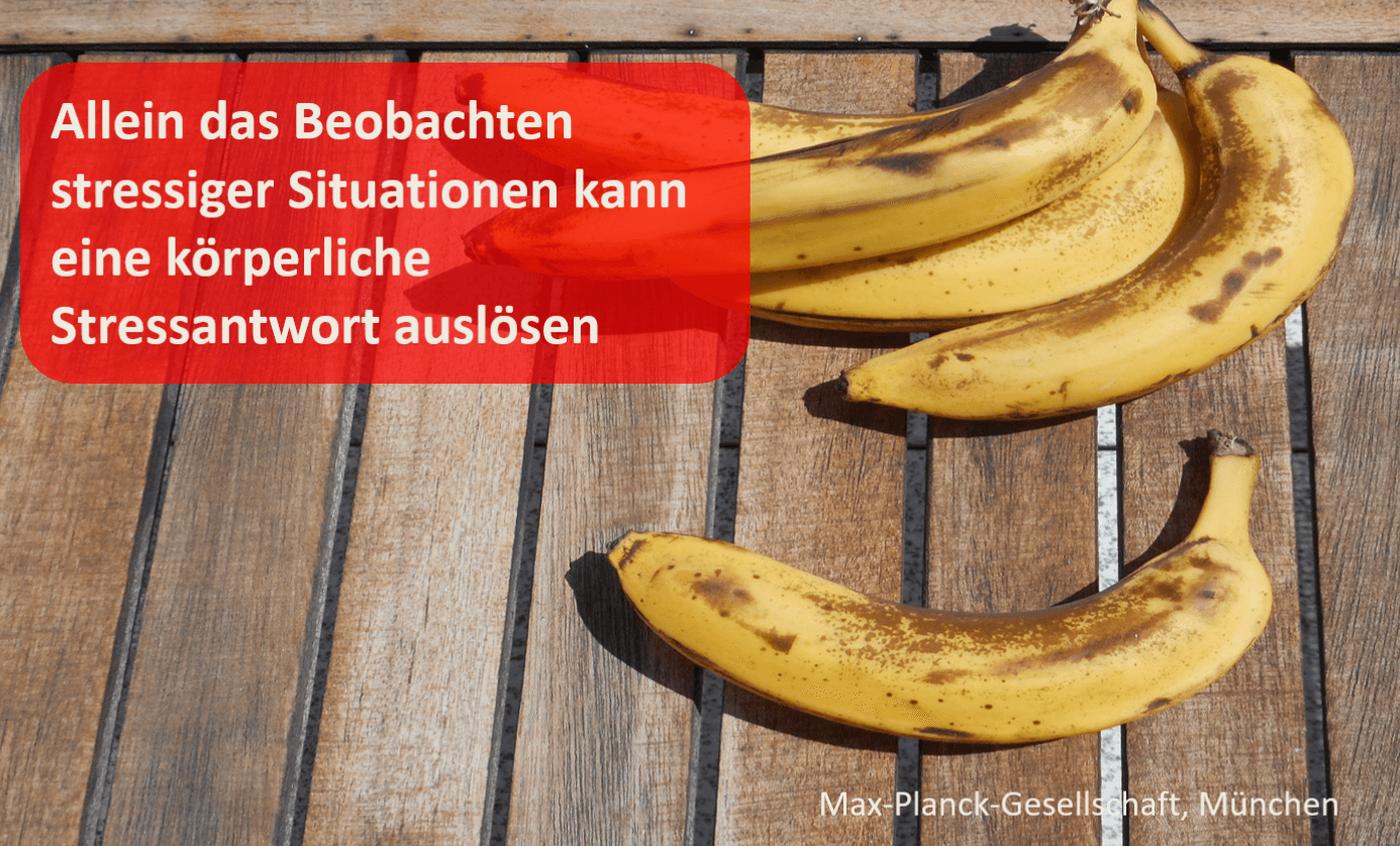 Stress durch beobachten
