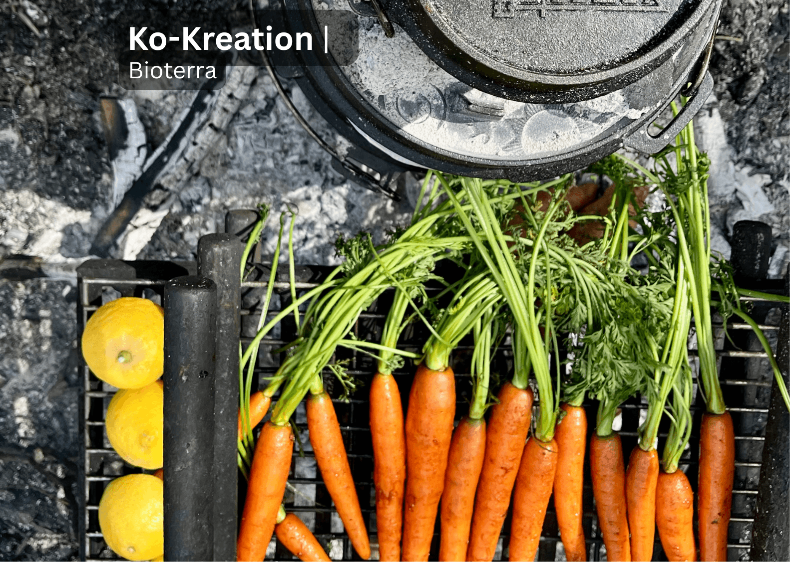 Gartenglut – Gemüsegenuss vom Feuer