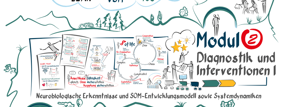 Weiterbildung-intOE-Module-Inhalte-Diagnostik-Interventionen