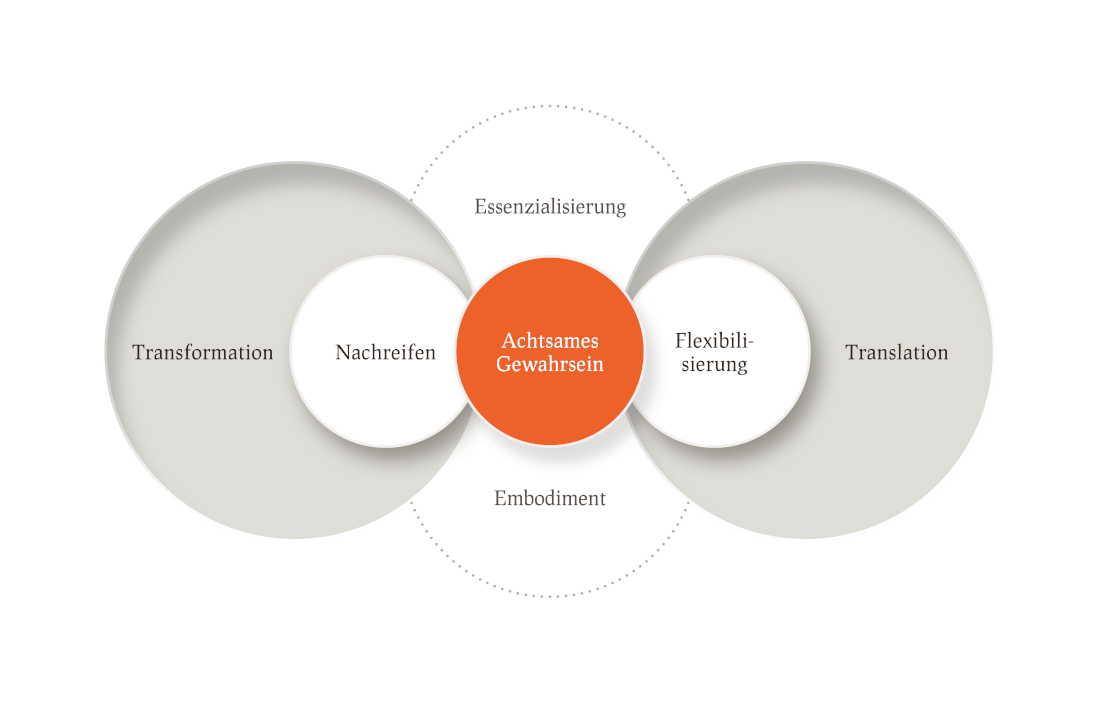 Mein Framework für die Entwicklungsbegleitung von Individuen