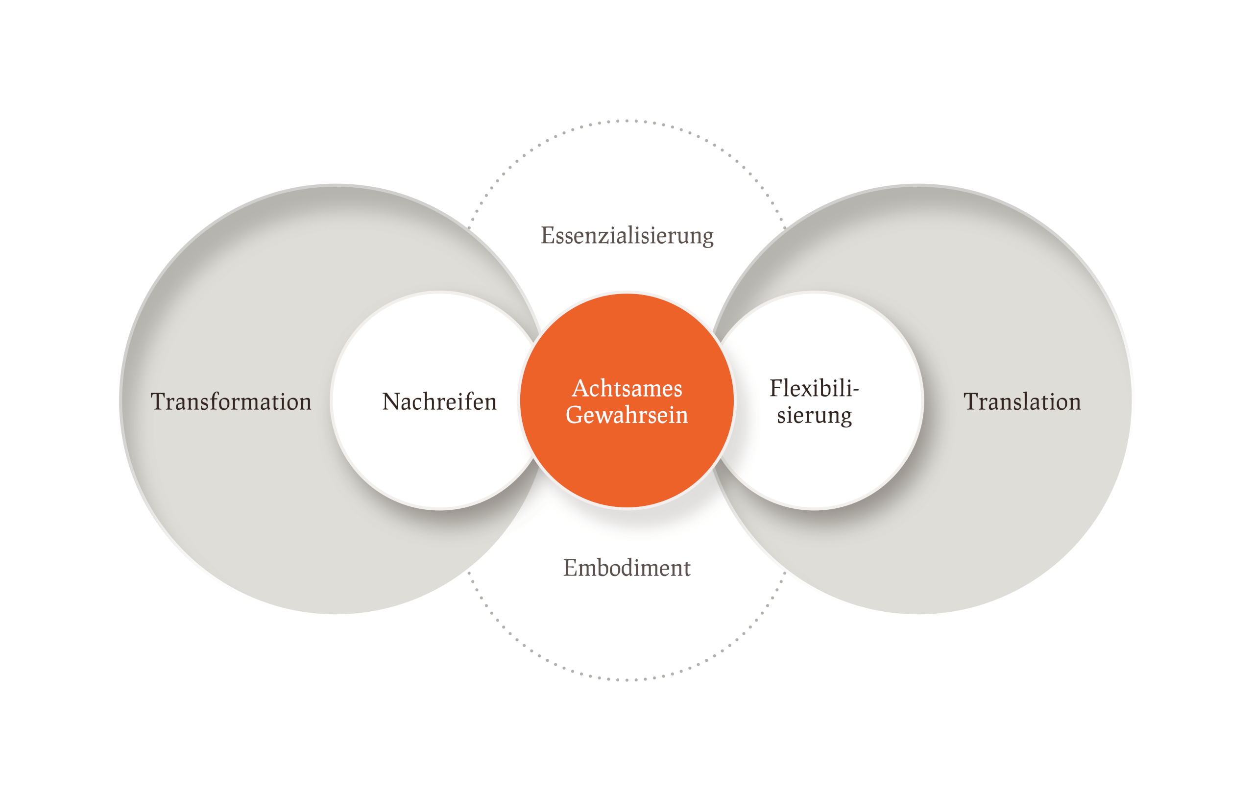 emergenzWERK Infografiken Framework Individuelle Entwicklung Pampas 01
