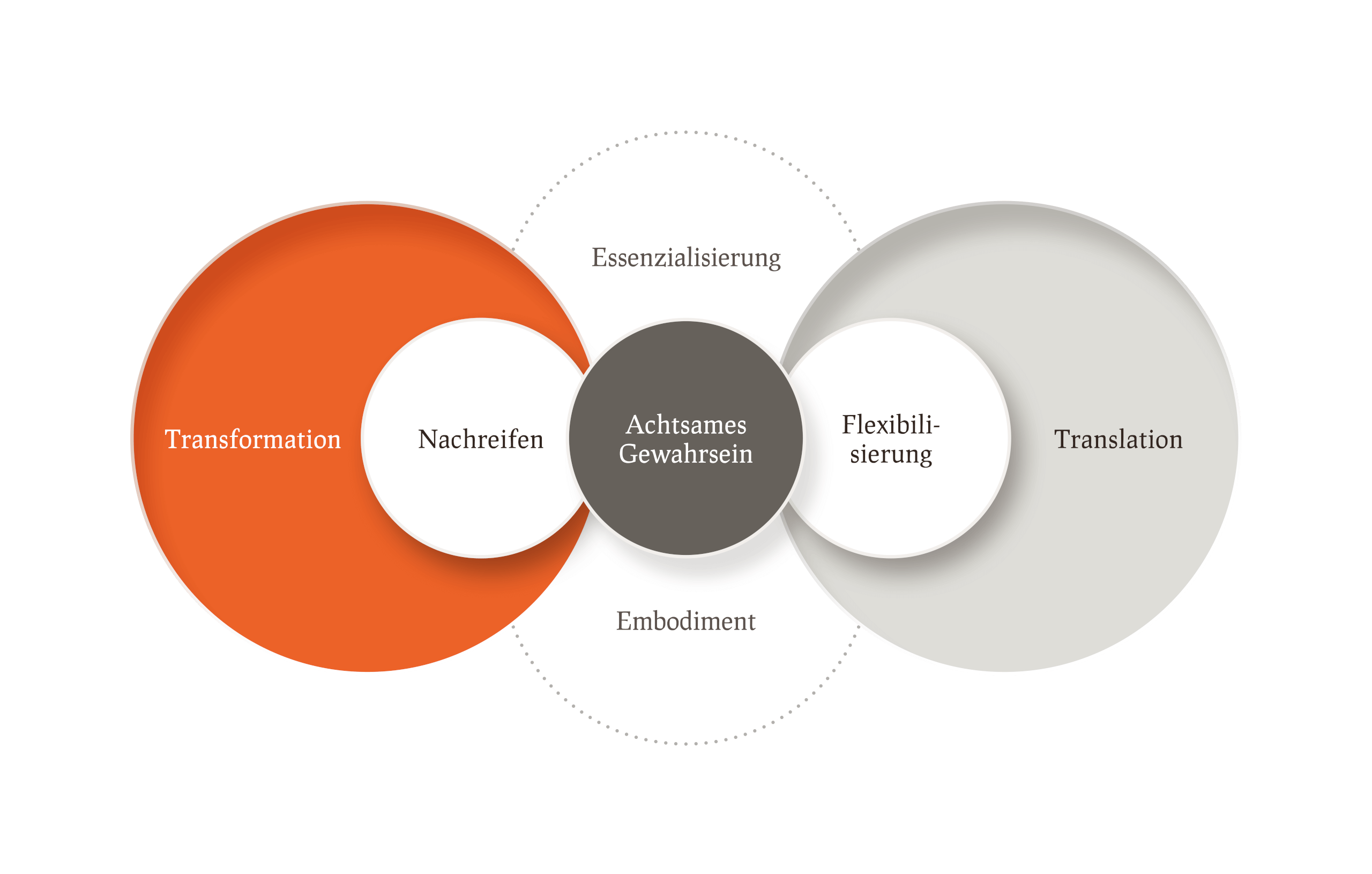 emergenzWERK Infografiken Framework Individuelle Entwicklung Pampas 02
