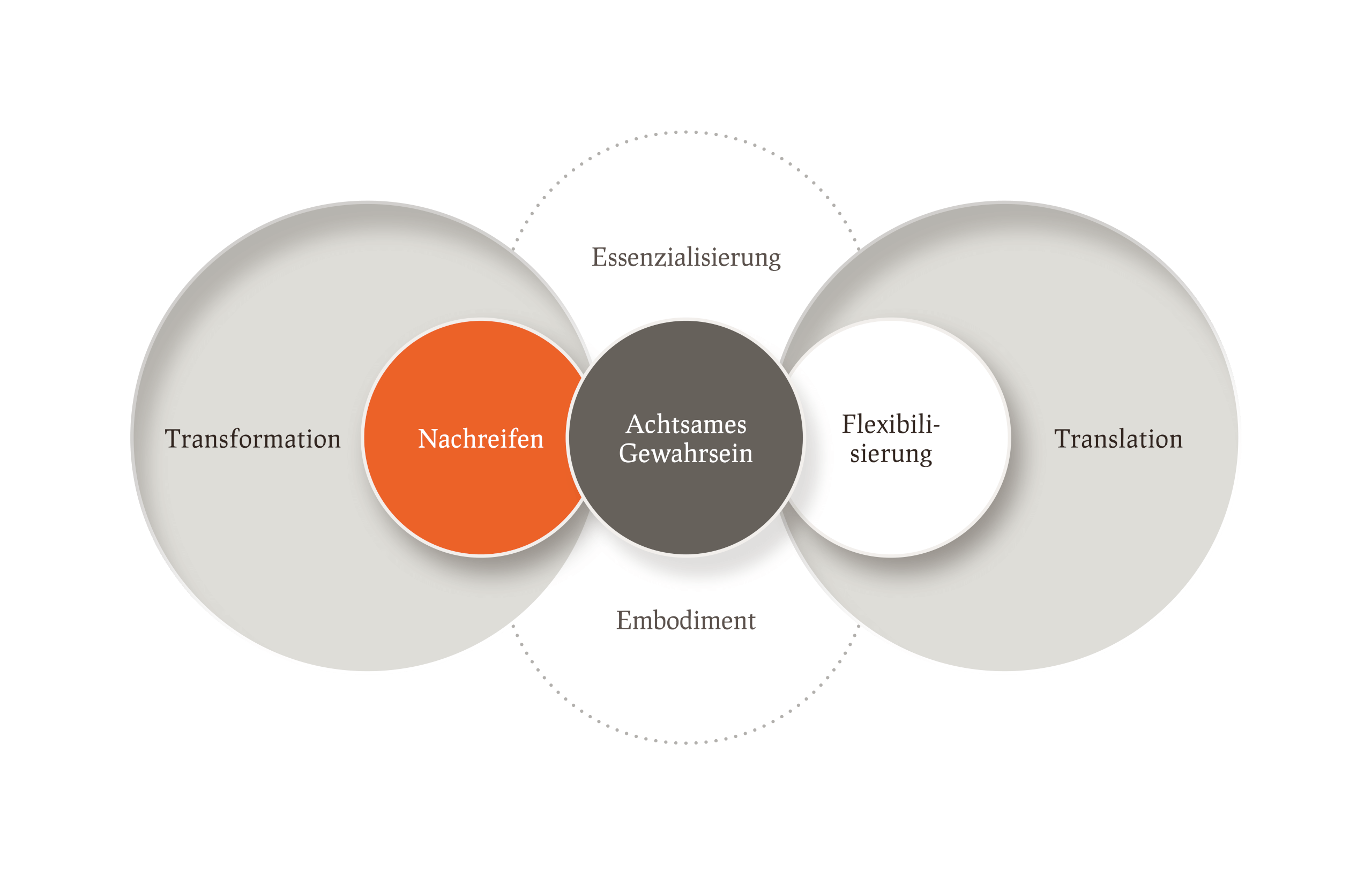 emergenzWERK Infografiken Framework Individuelle Entwicklung Pampas 03