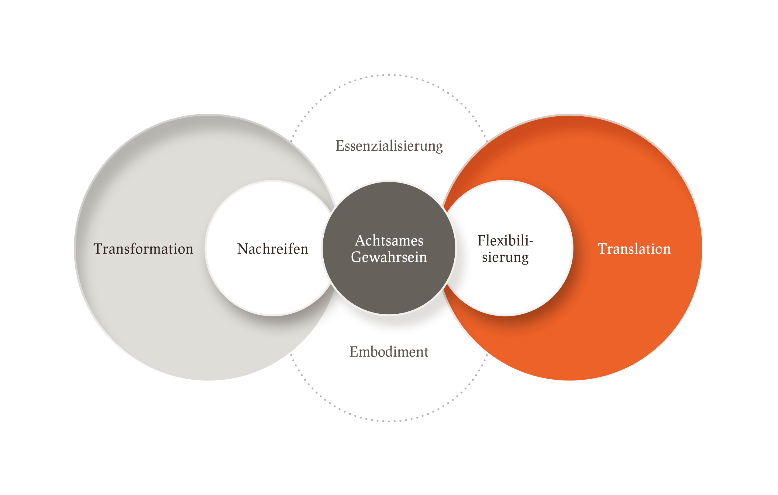 emergenzWERK Infografiken Framework Individuelle Entwicklung Pampas 04