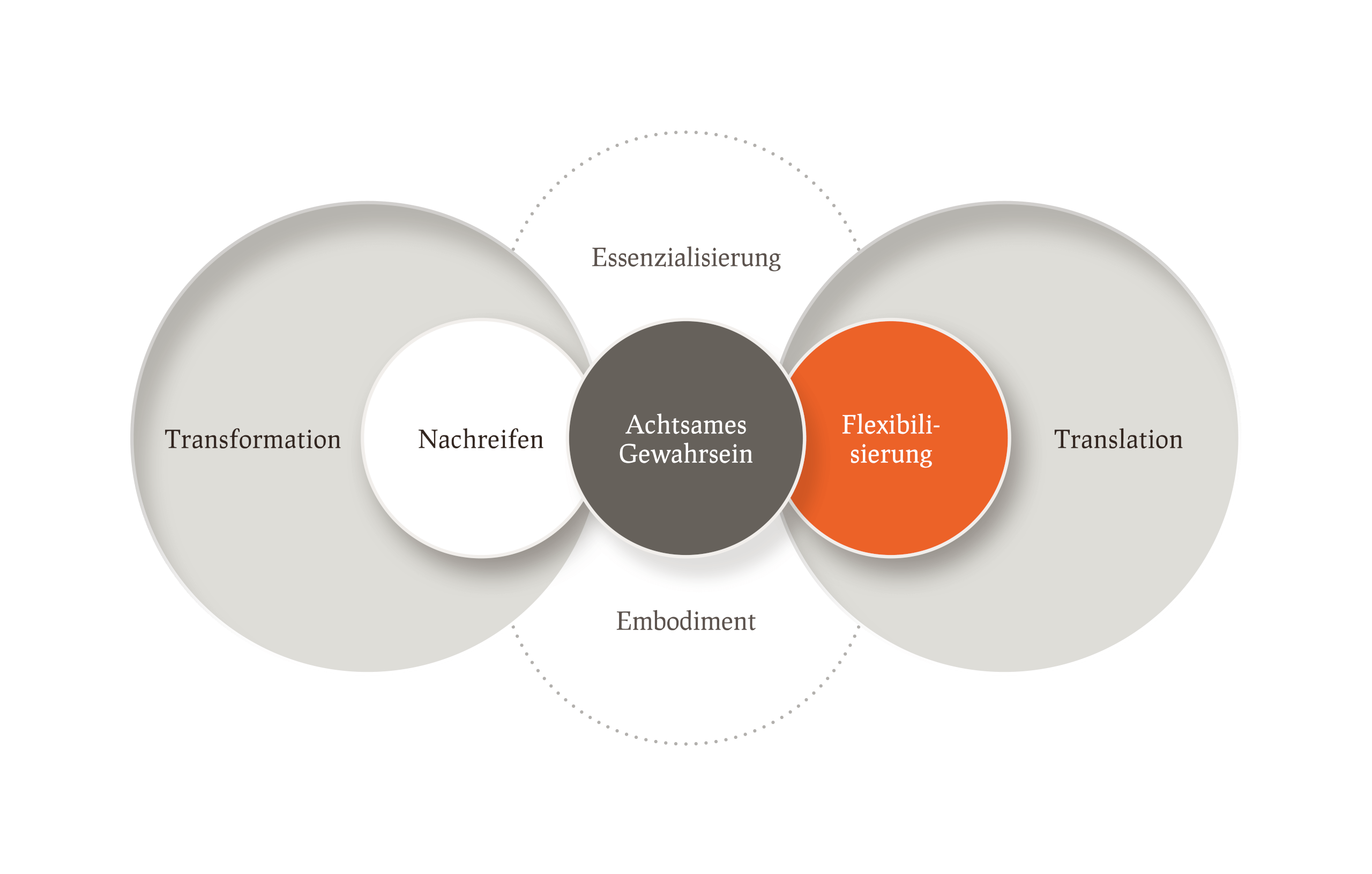 emergenzWERK Infografiken Framework Individuelle Entwicklung Pampas 05 1
