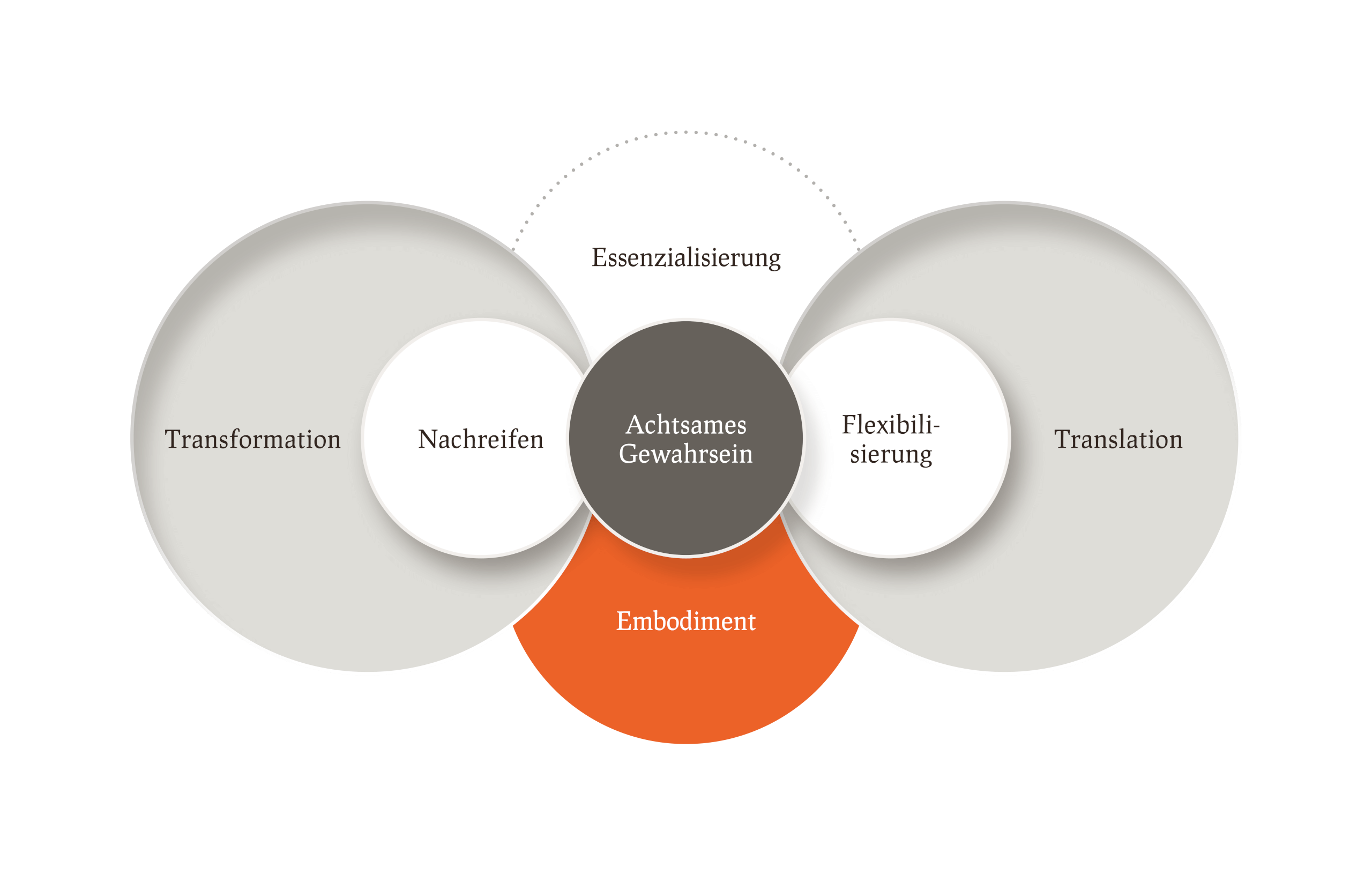 emergenzWERK Infografiken Framework Individuelle Entwicklung Pampas 07