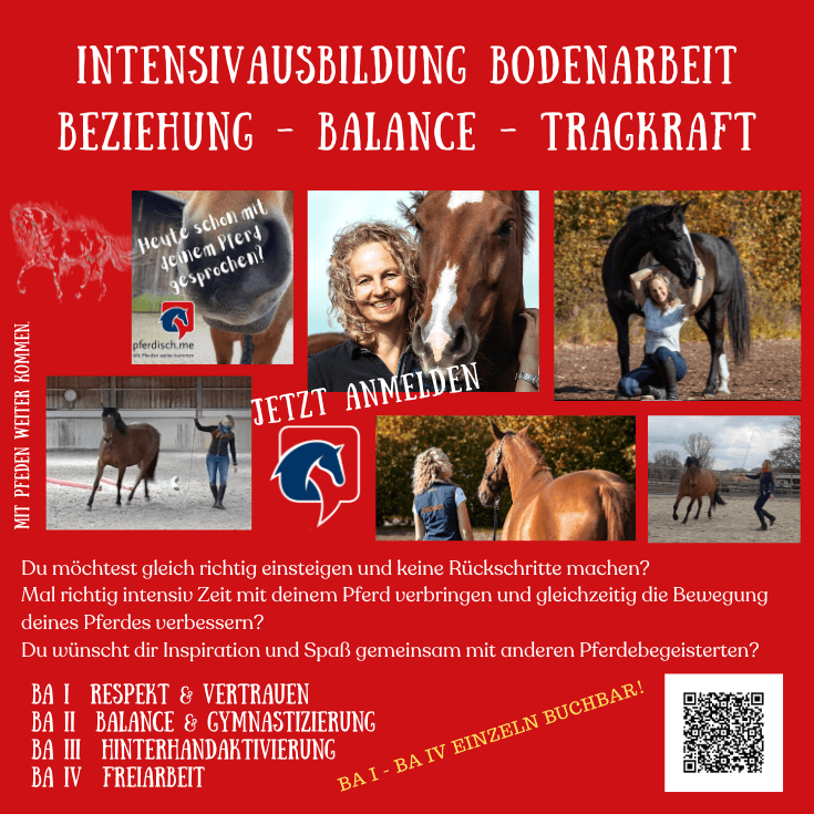 Intensivausbildung BA ohne Datum 735 x 735 px