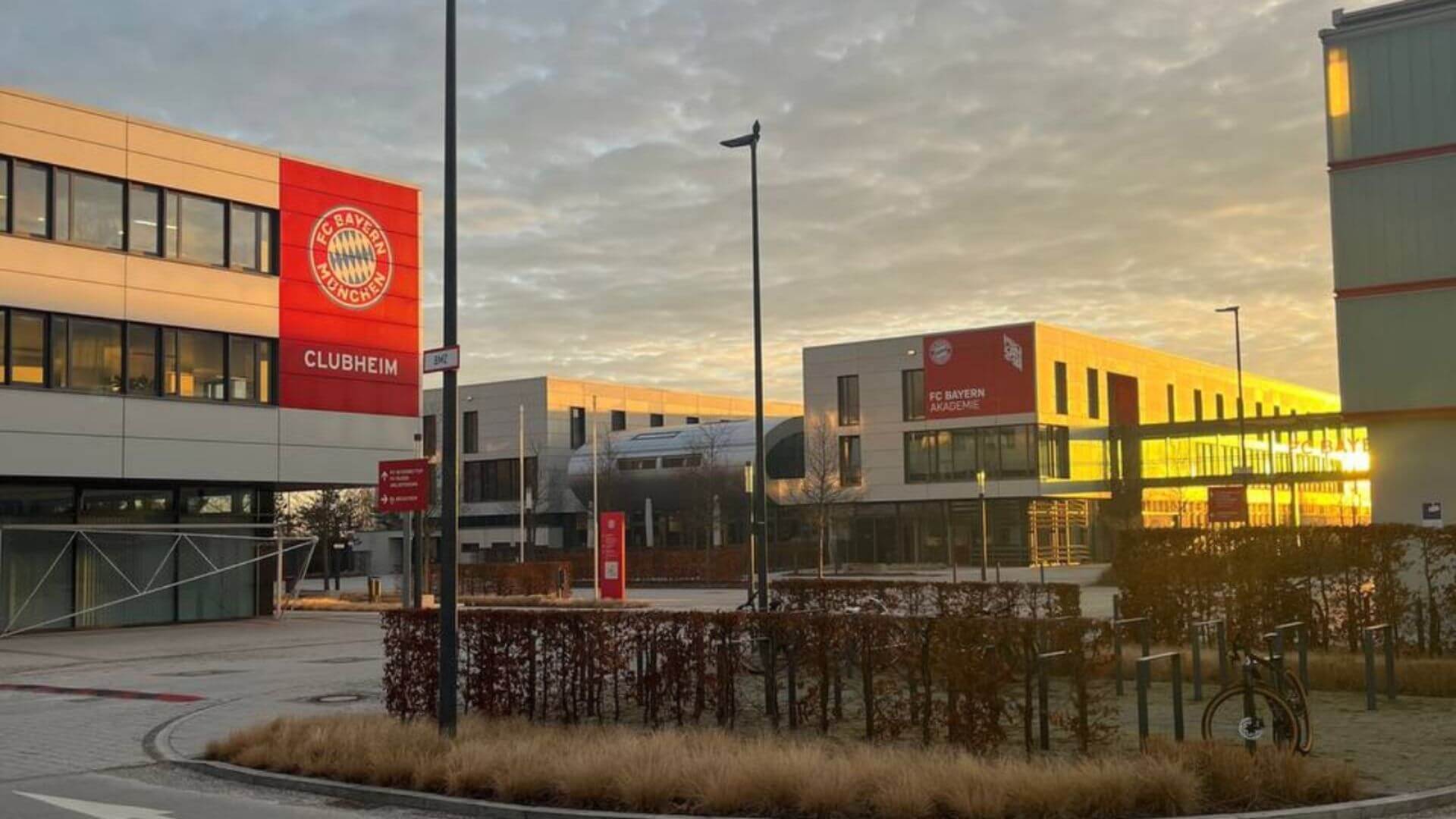 Case Study: Warum diese Privatpraxis kein SEO braucht