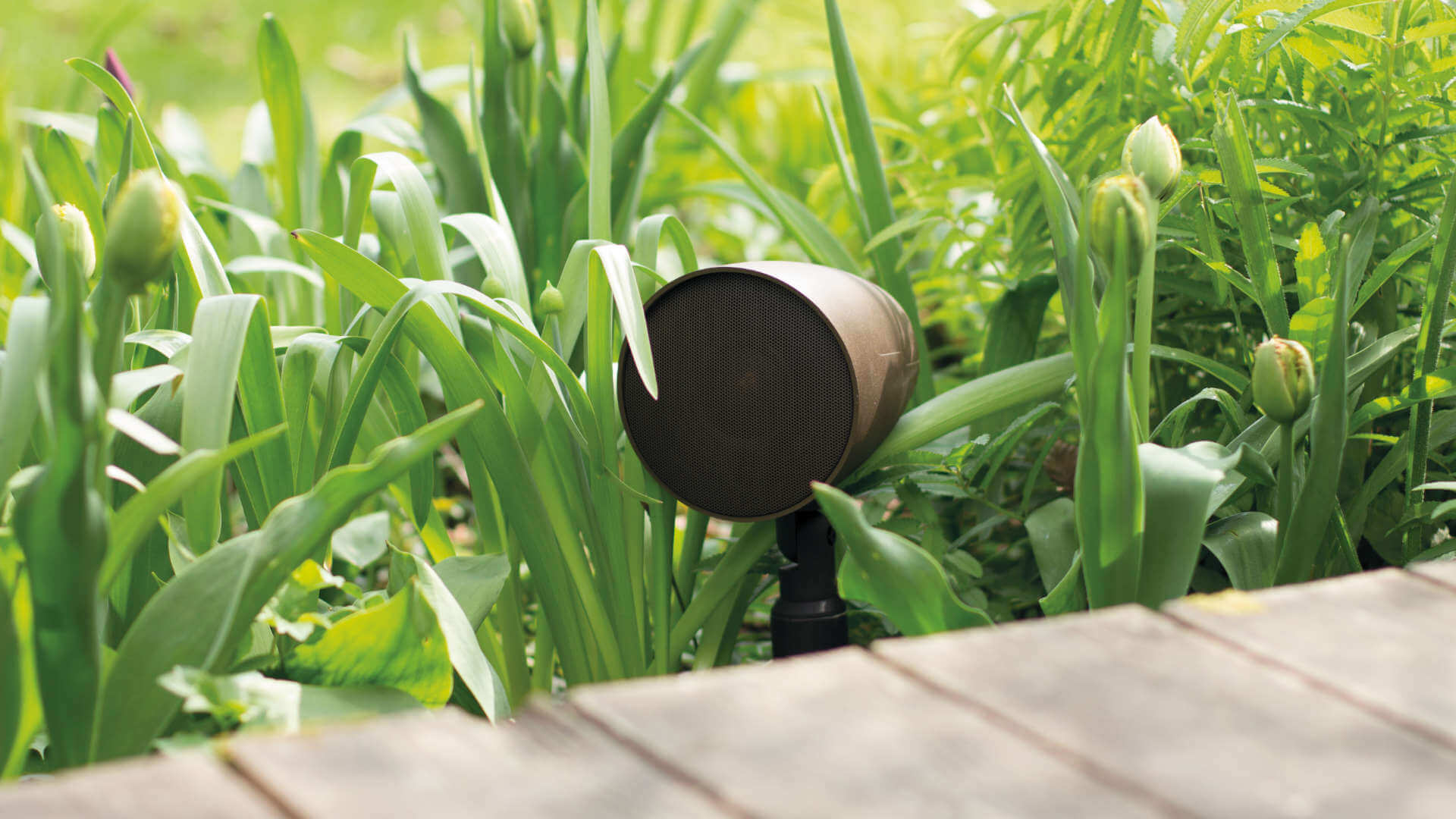 Monitor Audio Climate Garden im Gras