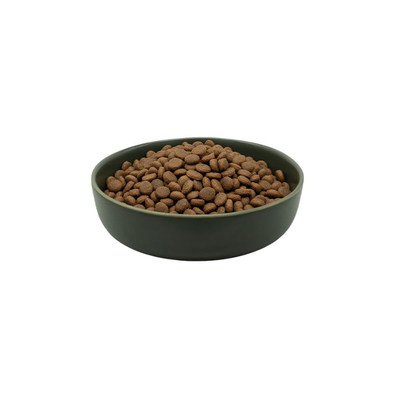 MAXiDOG Allround Athletic