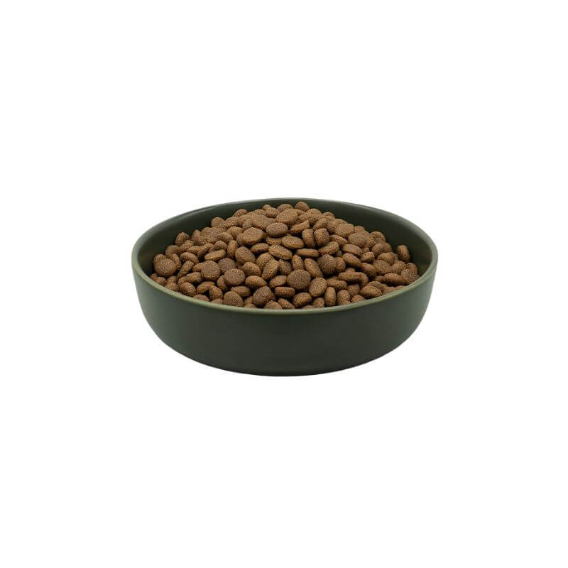 MAXiDOG Allround Athletic