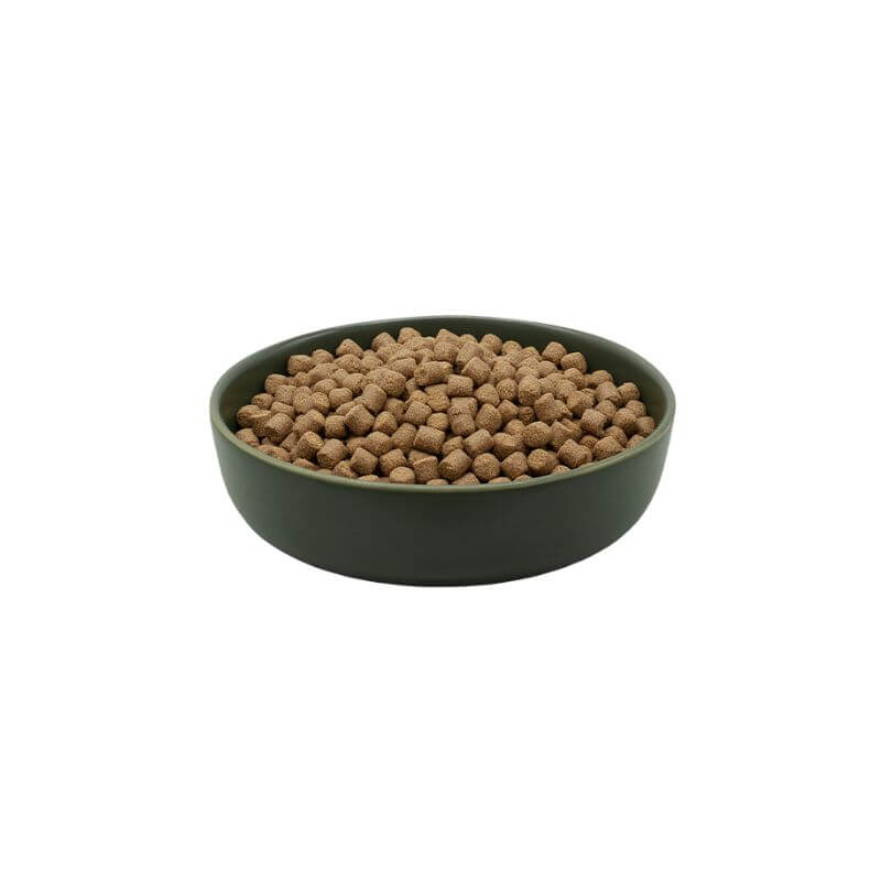 MAXiDOG Allround Champion