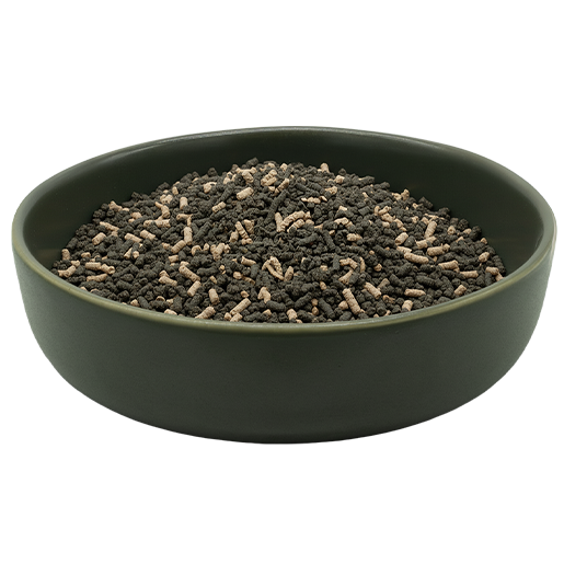 REiCO Darm Balance+ (ehemals Naturkraft Pro-1)