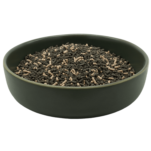 REiCO Darm Balance+ (ehemals Naturkraft Pro-1)