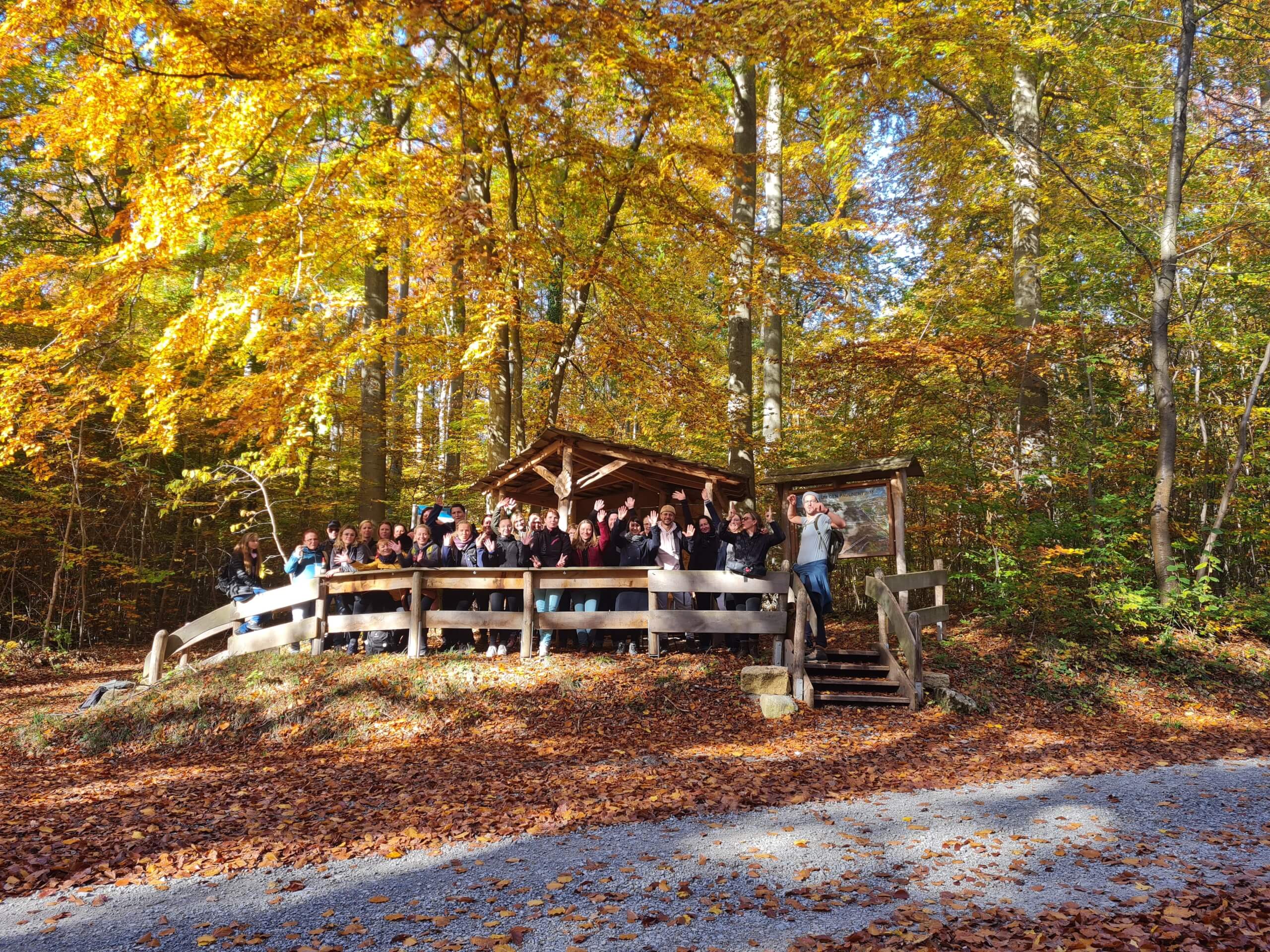 5017f118 739b 479a 87ef 31bbb8e97089