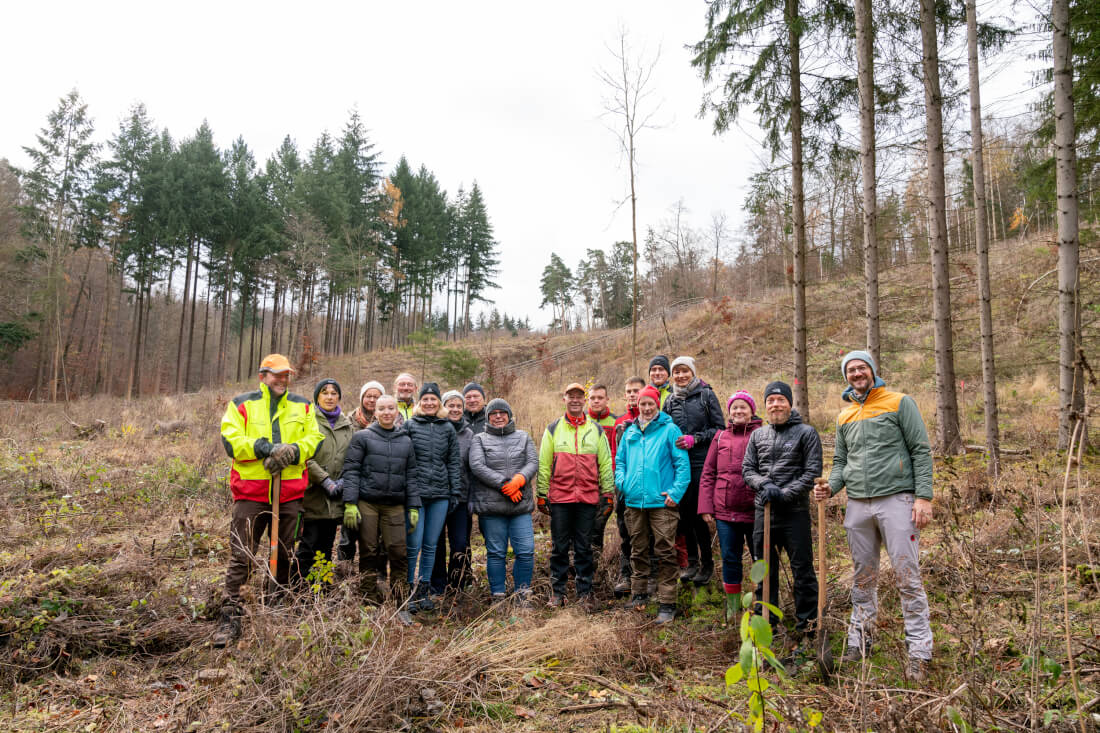1.000 Trees A Year: Bäume pflanzen für die Zukunft