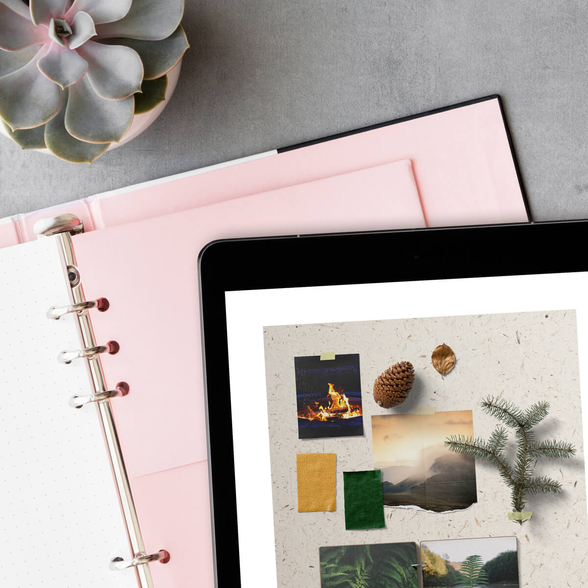 Moodboard auf Display, auf einem Ordner in rosa mit Sukkulente