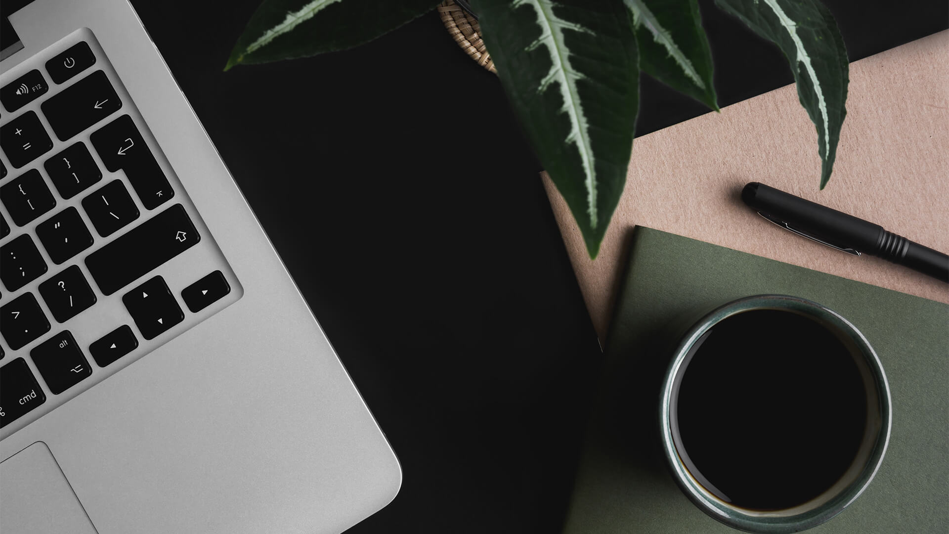 Dein Branding ist nicht grün. Es ist Waldgrün mit Abenteuerblick.