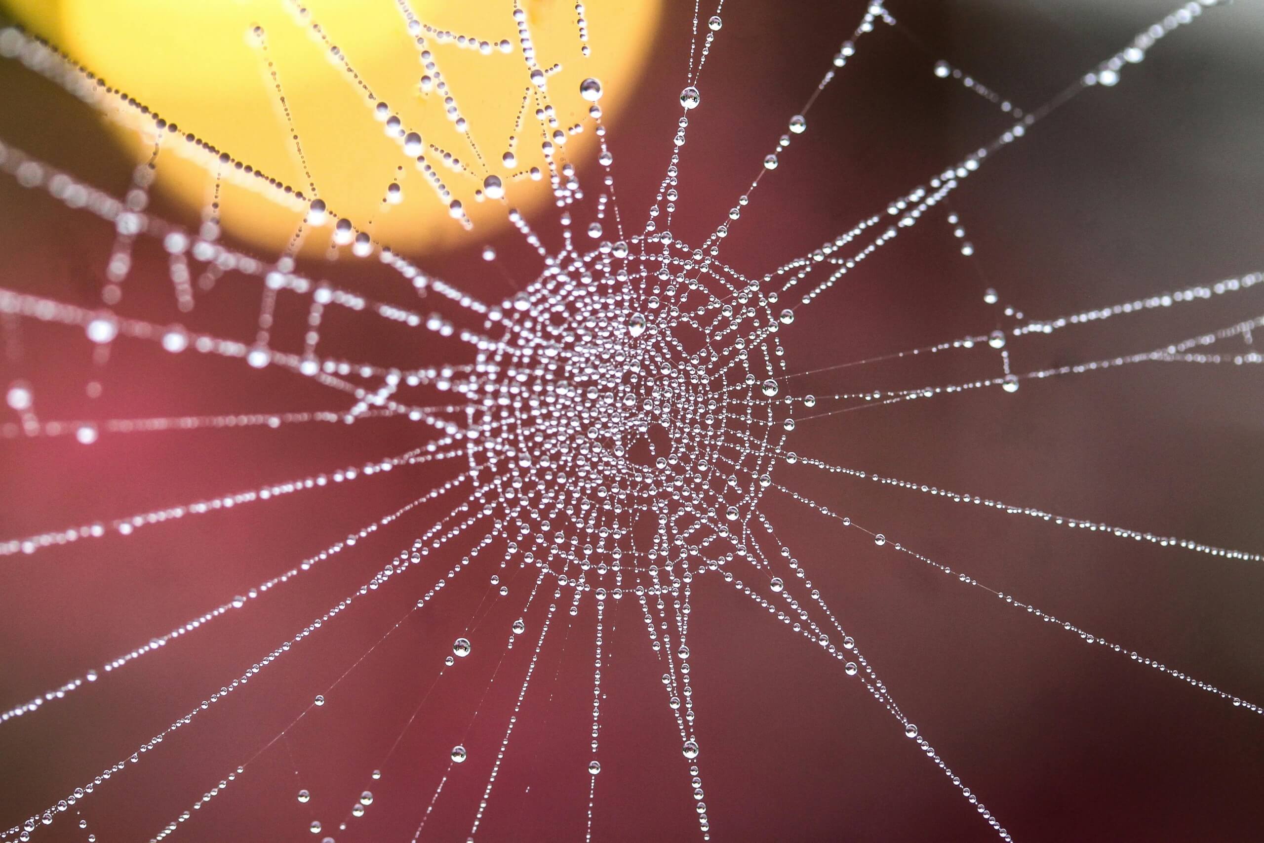 pexels pixabay 276203
