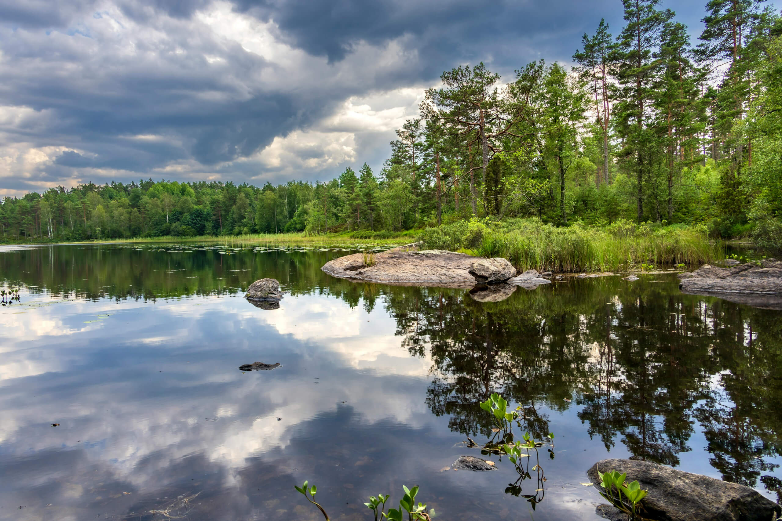 pexels ullehaddock 33594676 1