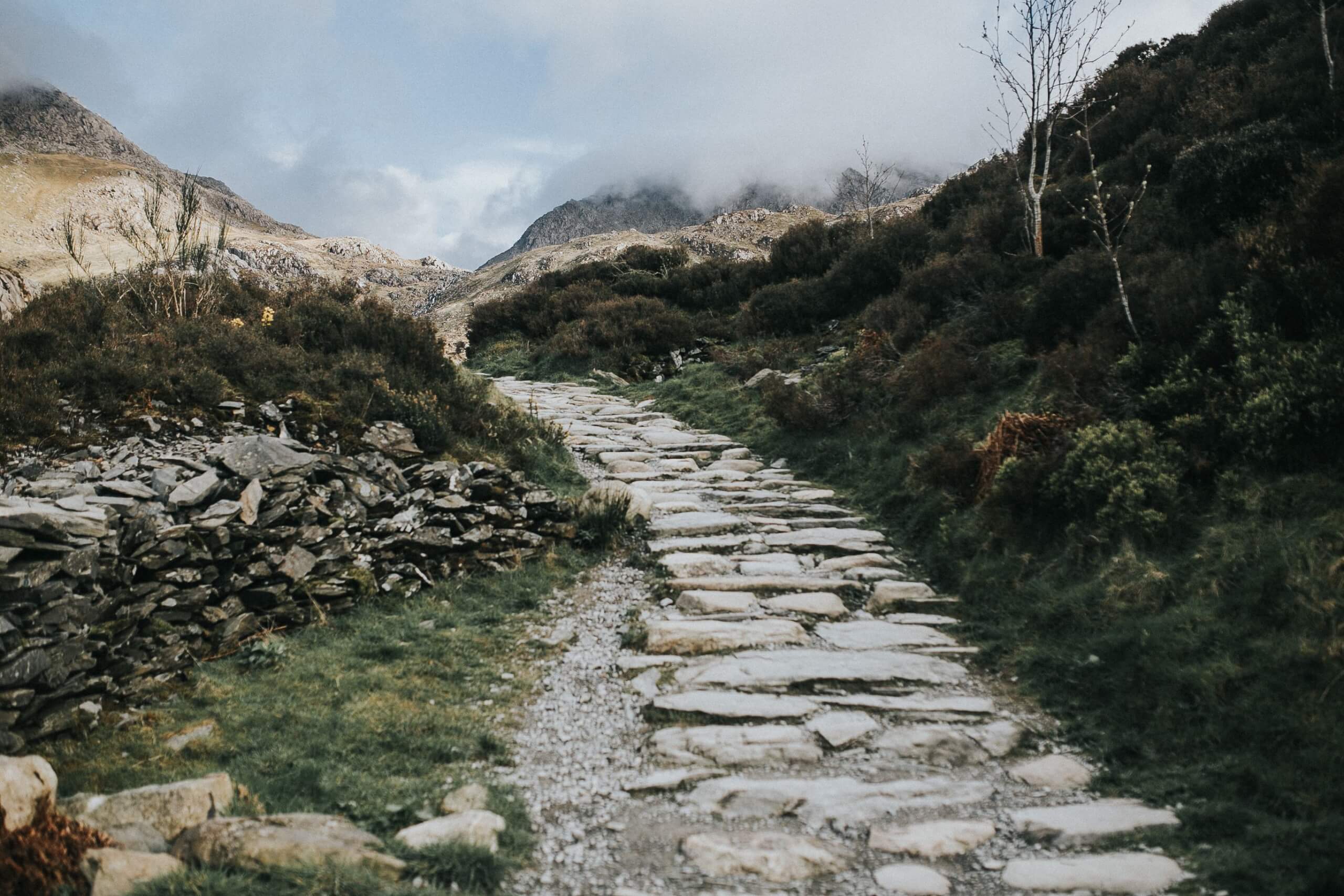 pexels avonnephoto 4036201