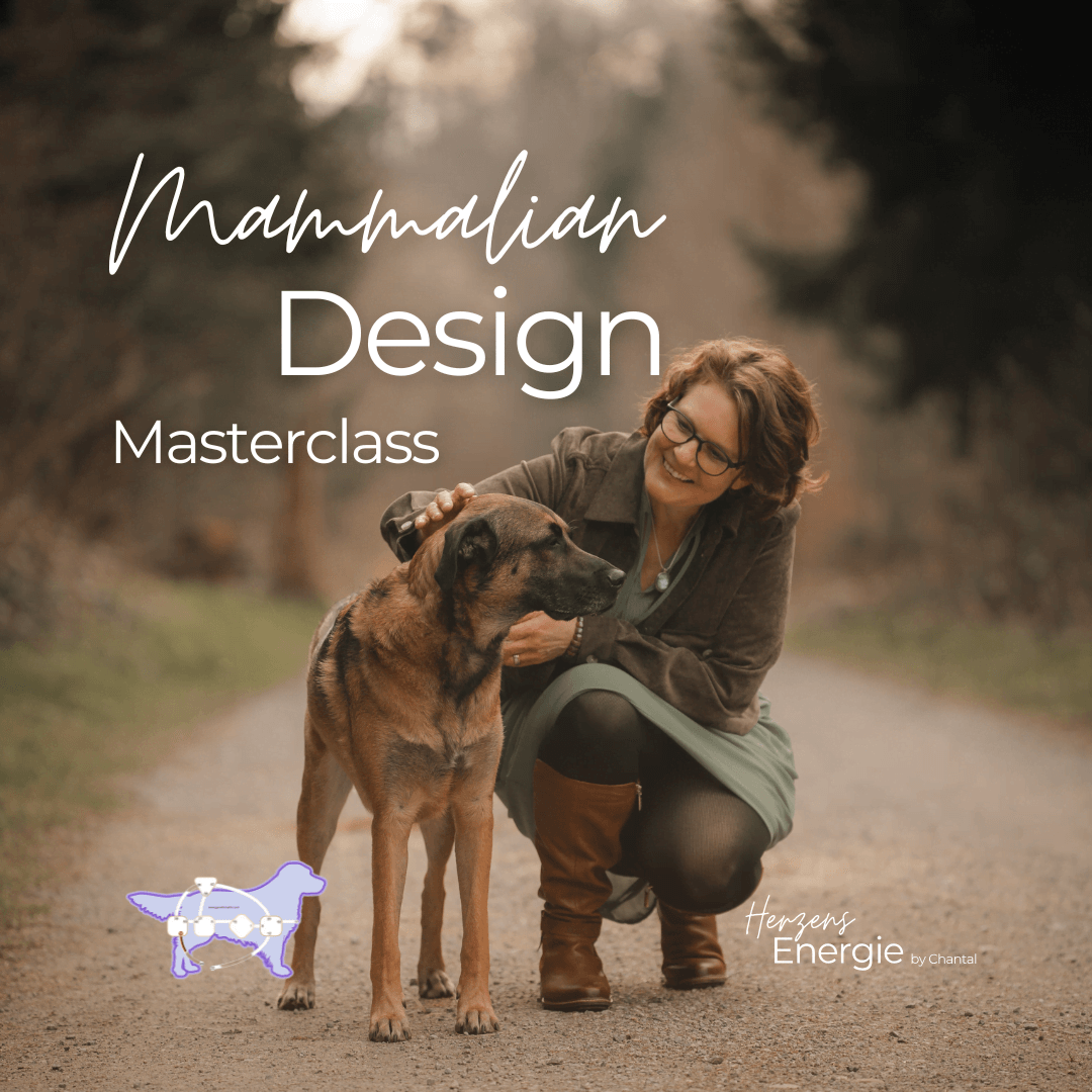 Mammalina Design Masterclass
