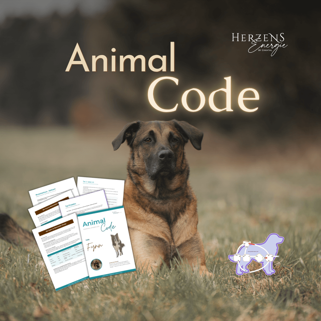 Animal Code - die Betriebsanleitung für deine Fellnase