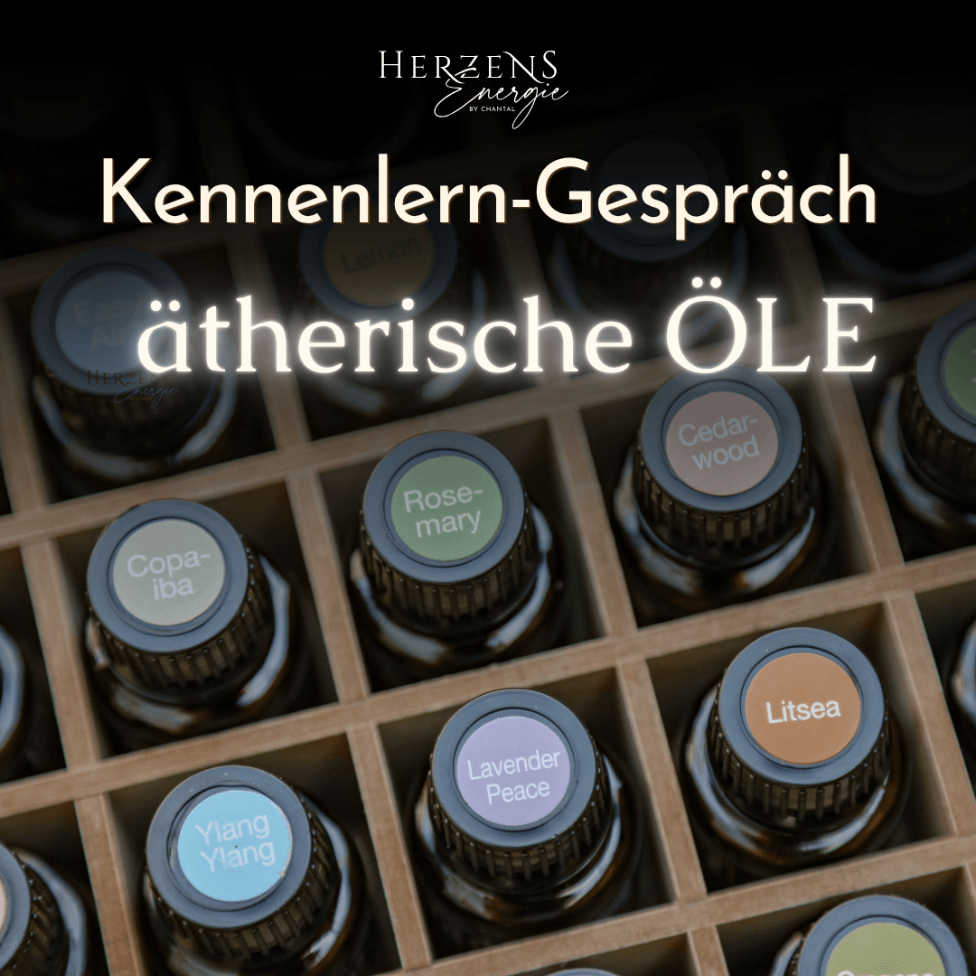 Human Design - Kompatkwissen to GO 0€