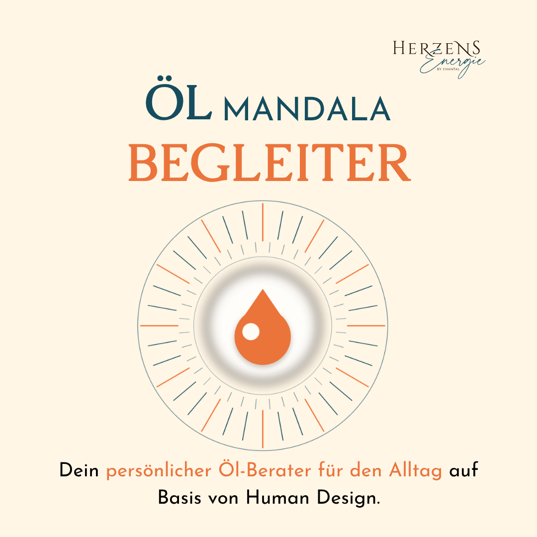 Mammalina Design Masterclass
