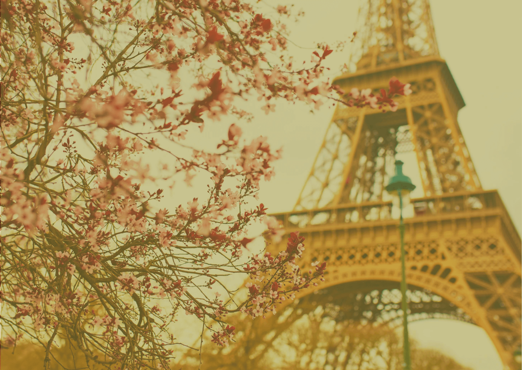 Eine sich reckende  schwarze Katze mit Blick auf den Betrachter gerichtet als Hüterin der Seite.