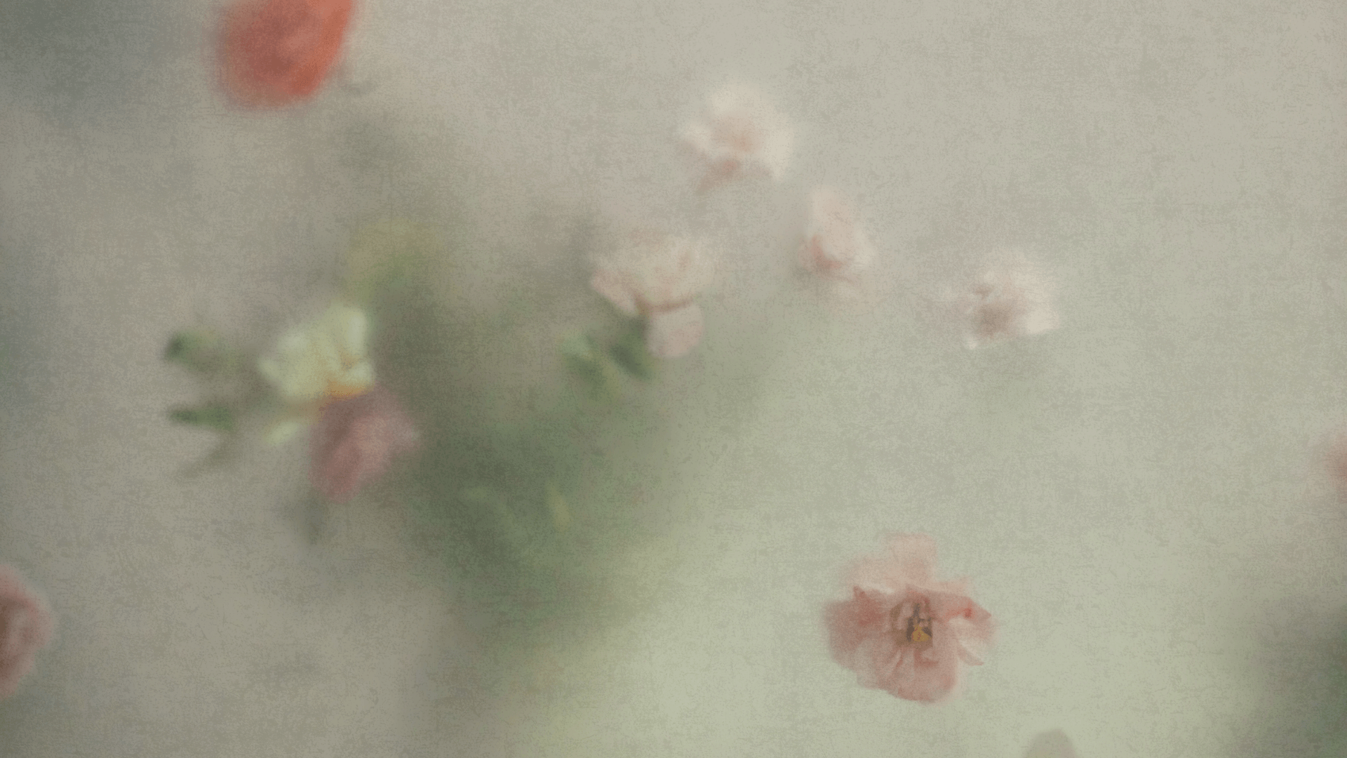 Eine sich reckende  schwarze Katze mit Blick auf den Betrachter gerichtet als Hüterin der Seite.