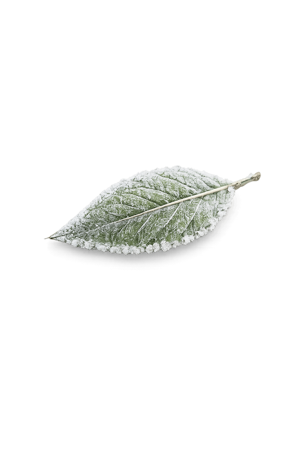 Ein frostbedecktes Blatt als gestalterische Zäsur