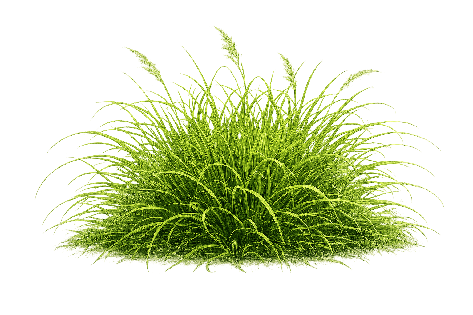 Lavendelzweig – zur Living Library