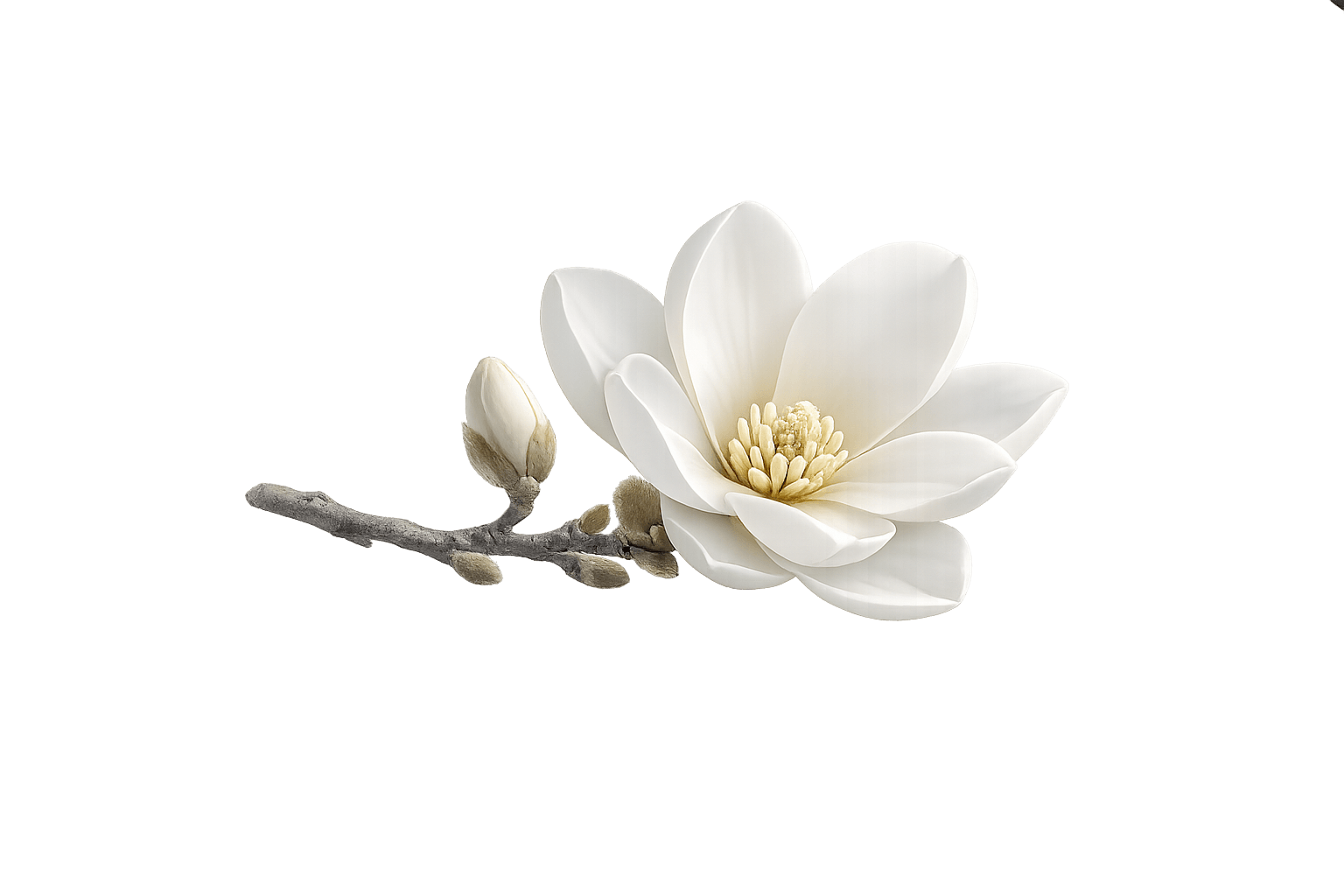 Efeuzweig als atmosphärische Zäsur