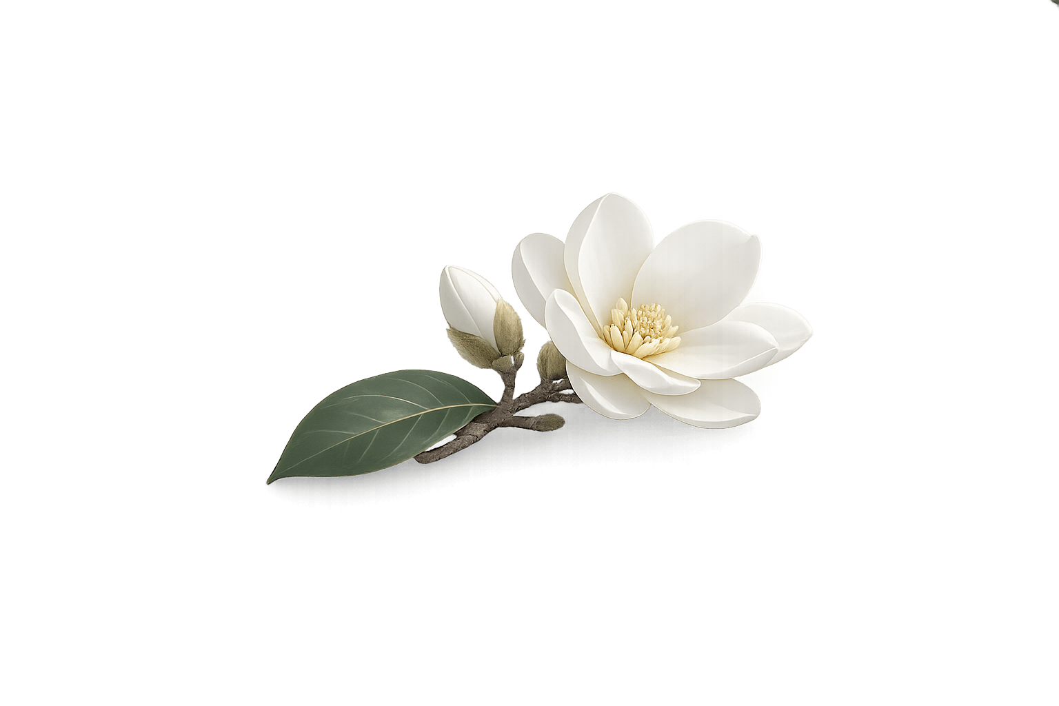 Efeublatt als Symbol für Klärung