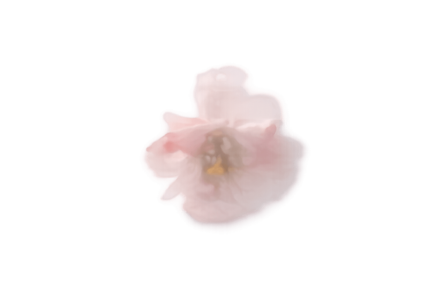 Pastellfarbene Blüte (Icon) – Checkout öffnen