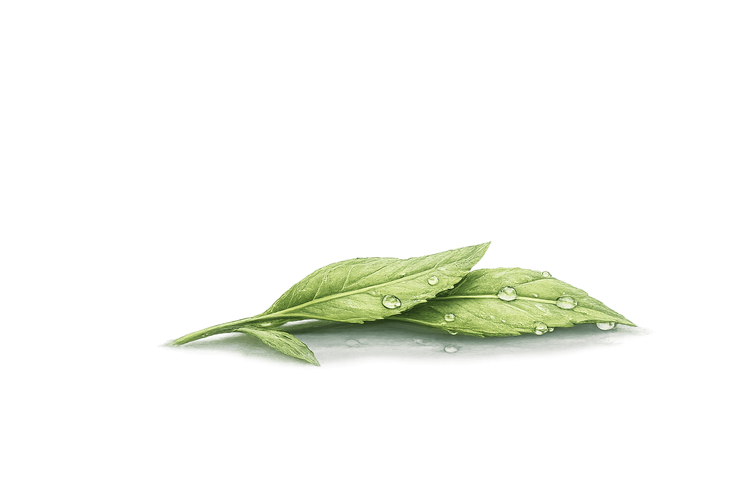 Frostbedeckte Beere – Link zur Leuchtenden Durchsage