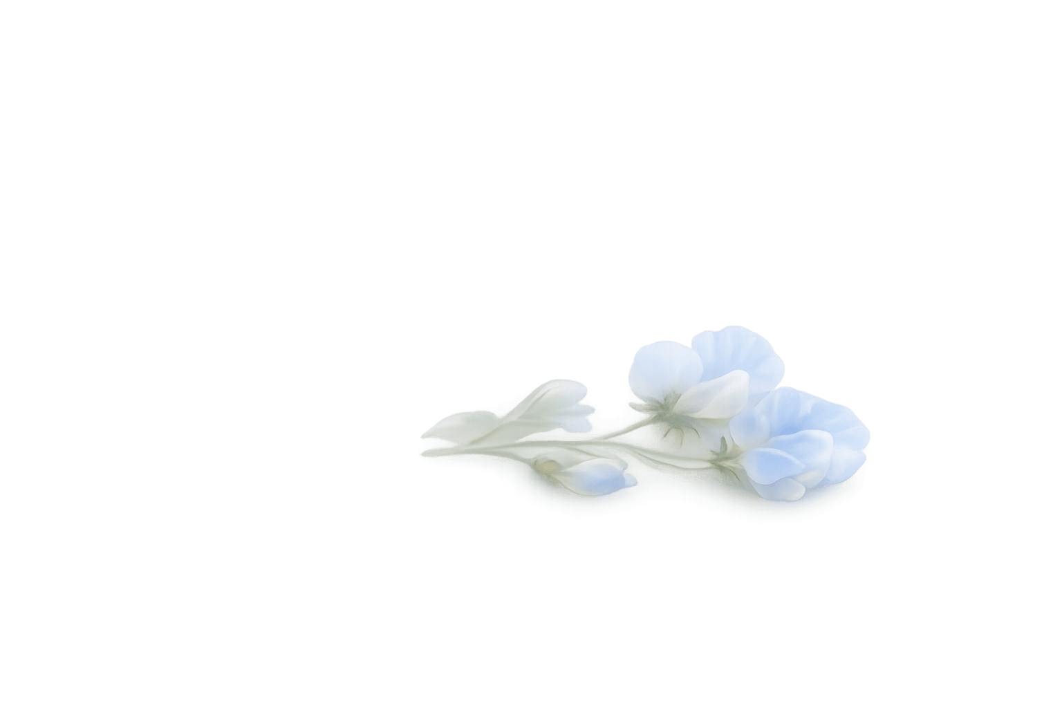 Eine hellblaue Ranke aus  Wicken