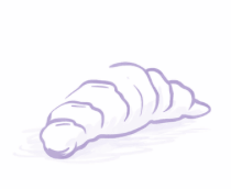 Ein Kirschzweig von rechts nach links in das Bild ragend