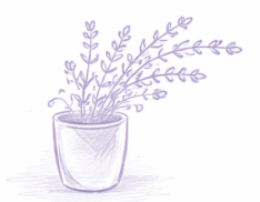 Ein Kirschzweig von rechts nach links in das Bild ragend