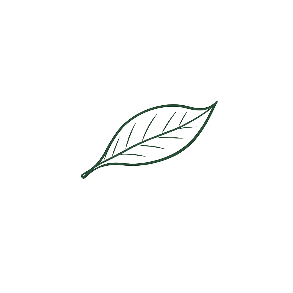 Blatt einer Magnolie