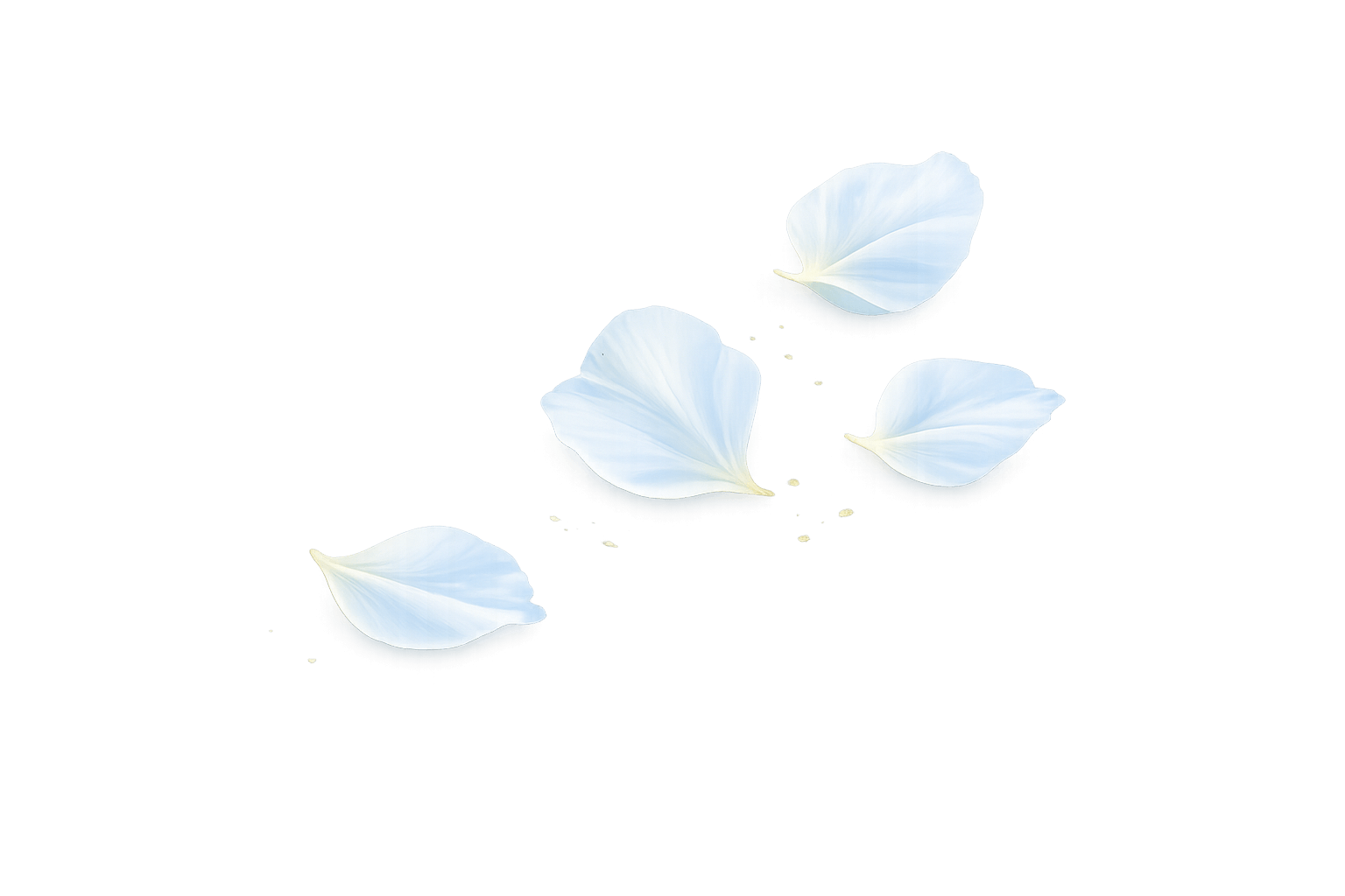 Eine pfirsichfarbene Blüte – als Link zum Hören