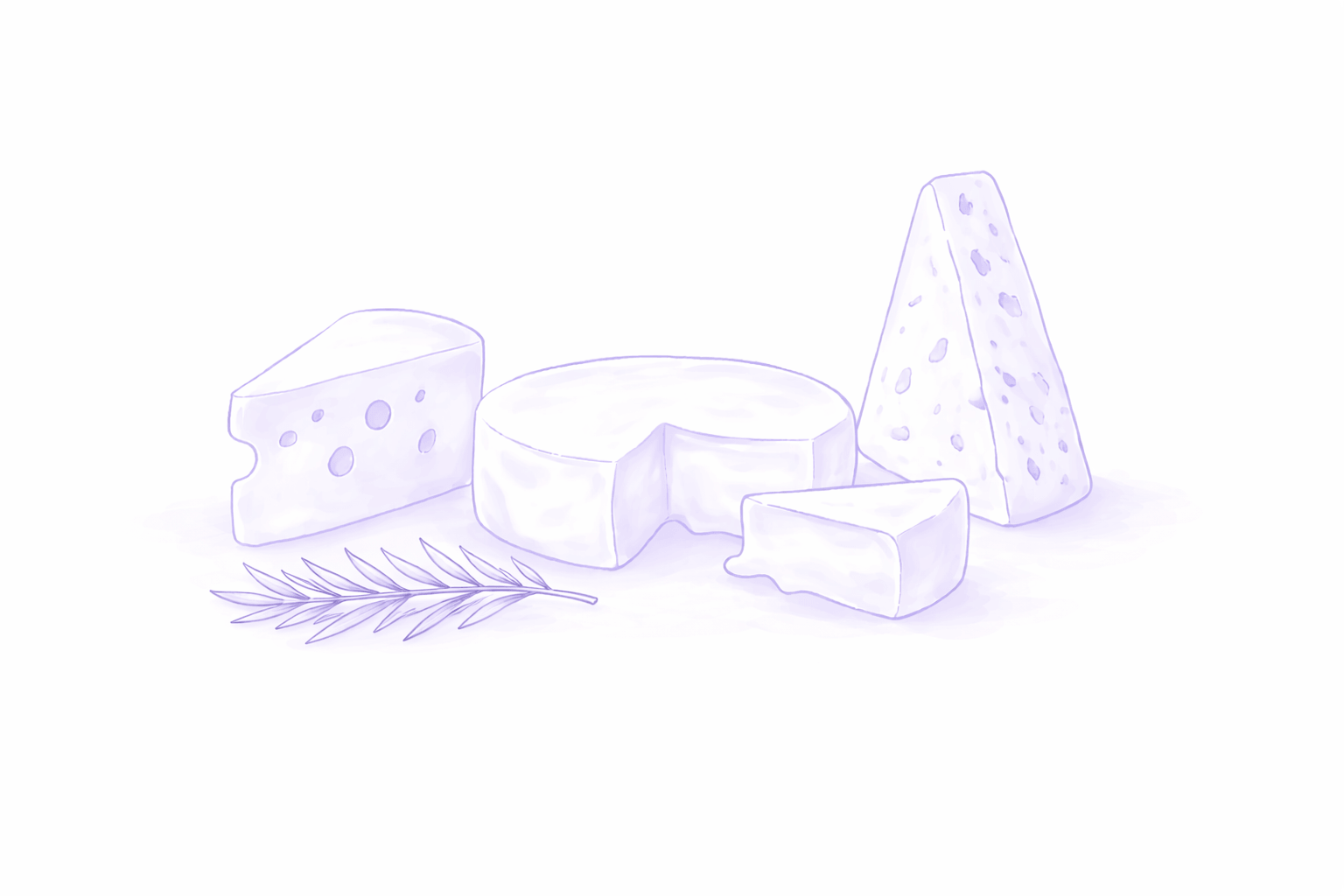 Käsevielfalt im Raum der besonders feinen Dinge