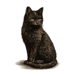 Schwarze Katze blickt in die Ferne