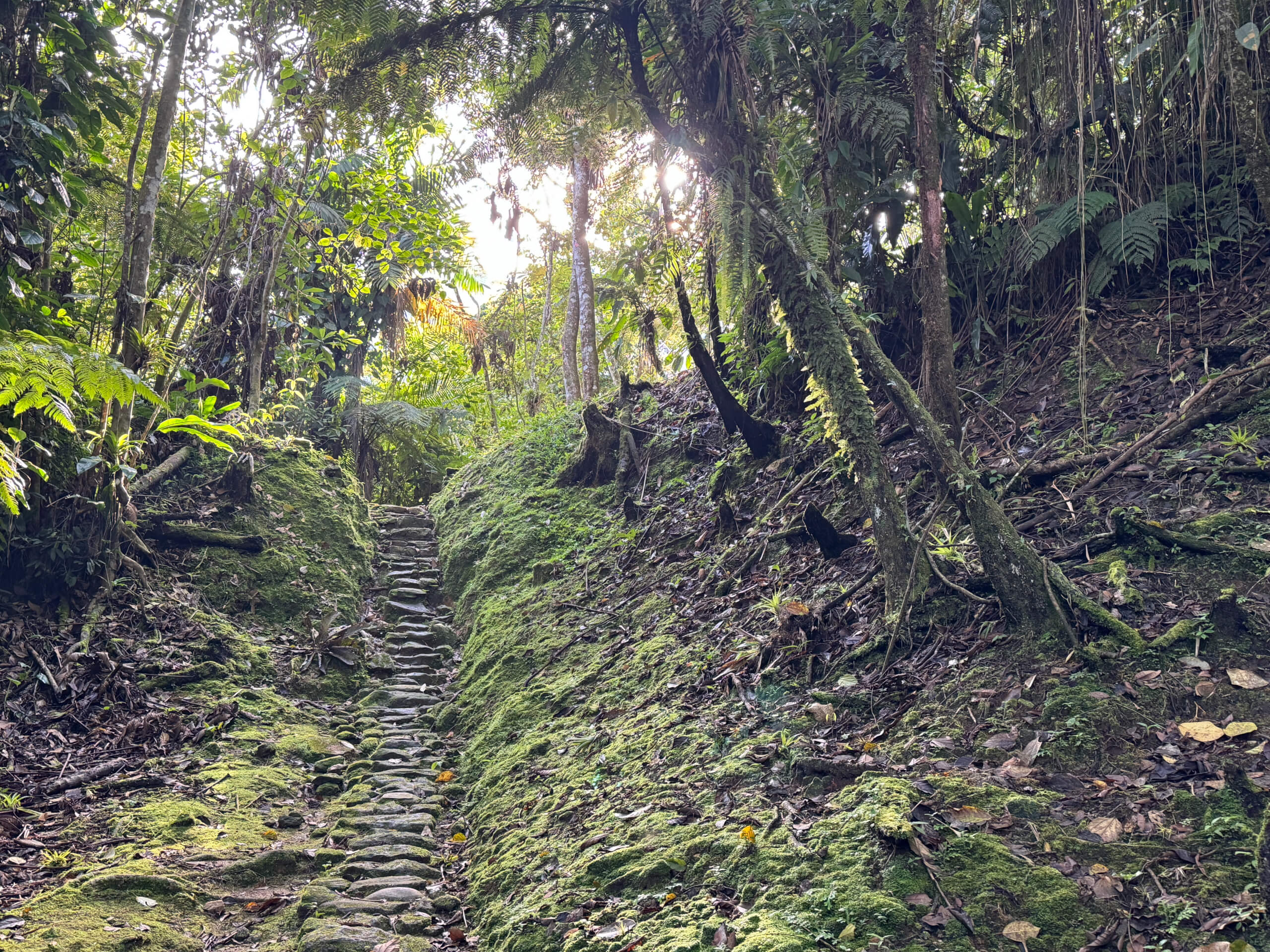 Steintreppen Ciudad Perdida Spirituelle Wanderung